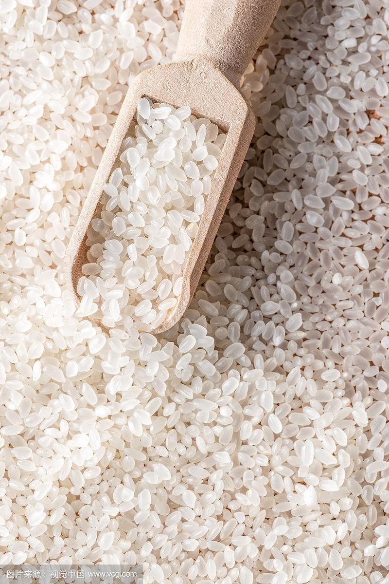 米粒米粒的相关图片